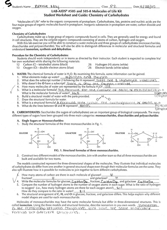 Molecules Of Life Worksheet - Nidecmege